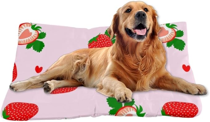 Cute Strawberry Fruit Pink Rectangle Dog Bed Dog Sleeping Mat Puppy Pad Bedding for Crate Washable Non-Slip Crate Bed Doggy Mat for Car Backseat Tapete para Perros Indoor Outdoor 24X18 Inch