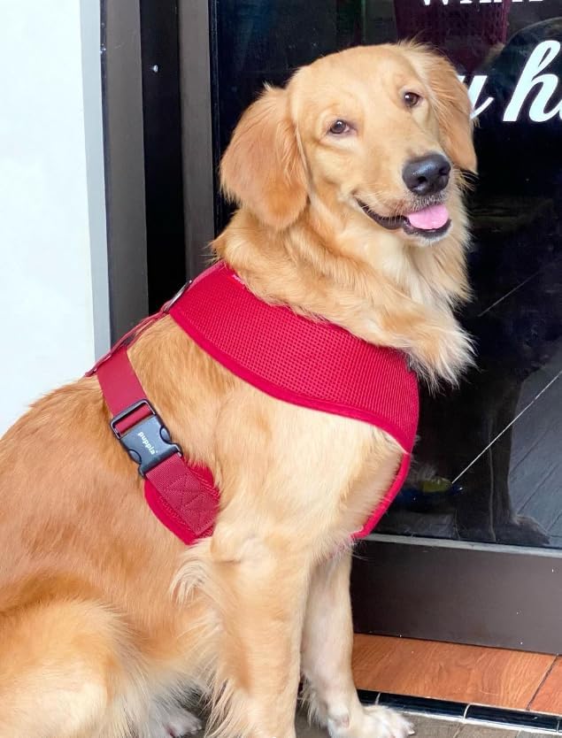 Puppia Soft Dog Harness, Wine, Small (PDCF-AC30-WN-S)