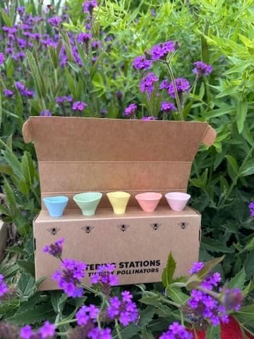 5 Pack, Bee Watering Station, 100% Handmade from Porcelain, Bee and Butterfly