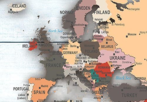 artgeist - Push Pin World Map Cork Board & Canvas Wall Art, Office 35x24 in