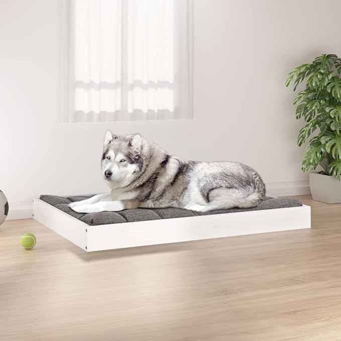 Medium Wooden Dog Bed, Elevated White Solid Pine Wood Pet Cot for Small to Medium Dogs, Modern Minimalist Indoor Pet Furniture, Sturdy Rectangular Rest Station