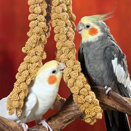 Nemeth Farms Premium Non-GMO Spray Millet Treat | Hand-Harvested Bird Snack | 100% Edible Tops | Sun-Dried Supplement for Parakeets, Cockatiels, Finches, Lovebirds, Canaries