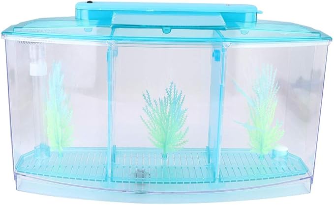 Small Fish Tank with Filter, Aquarium Fish LED Acrylic Three Divisions Breeding Isolation Box for Small Fishes Aquarium Fish (Blue)
