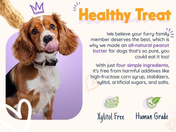 BUDDY BUDDER Barkin Banana + Pumpkin Pup, 100% All Natural Dog Peanut Butter, Peanut Butter Dog Treat, Made in USA (Set of 2 | 17oz ea)