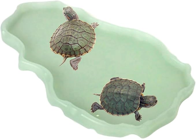 Luminous Reptile Food Bowl and Water Dish - Large Terrarium Bowl for Tortoises