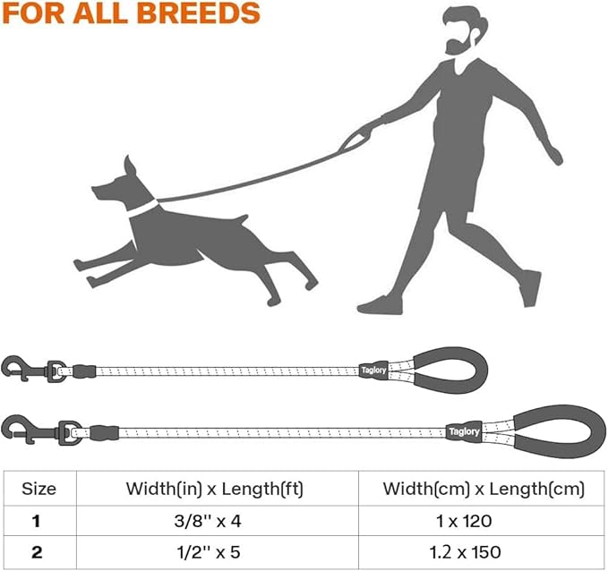 Taglory Rope Dog Leash 4 FT with Comfortable Padded Handle, Highly Reflective Threads Leash and Anti-Tangle Clip for Walking Small Dogs, 3/8 inch, Red
