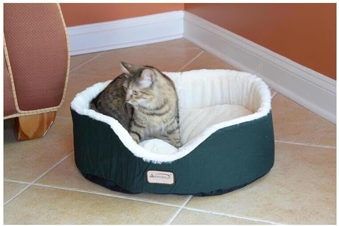 Dog Bed & Mat - Heavy Duty Canvas & Plush Cushion - Polyfill Comfort - Laurel Green & Ivory
