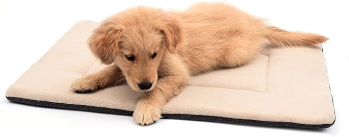 EX ELECTRONIX EXPRESS Dog Bed Crate Pad 24" x 18" - Machine Washable