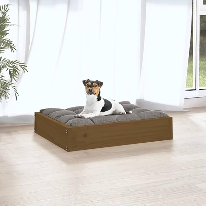 Solid Pine Wood Dog Bed in Warm Honey Brown Finish 20.3 x 17.3 x 3.5 Inches, Durable Indoor Pet Bed for Small Breeds, Cozy Resting Space with Minimalist Design and Varnished