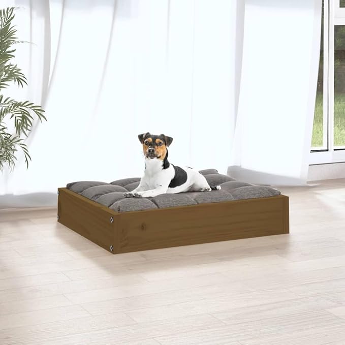 Solid Pine Wood Dog Bed in Warm Honey Brown Finish 20.3 x 17.3 x 3.5 Inches Durable Cozy Pet Resting Space for Small Breeds Indoor Use Minimalist Design