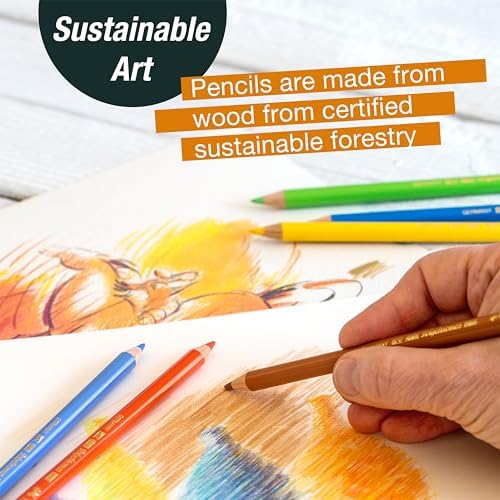 Faber-Castell Try It Box: Dry Mediums - 17 Piece Sketching Drawing Art Set with featuring Colored Pencils, Graphite Pencils, Charcoal Pencils, Pitt Artist Pen and Art Tools