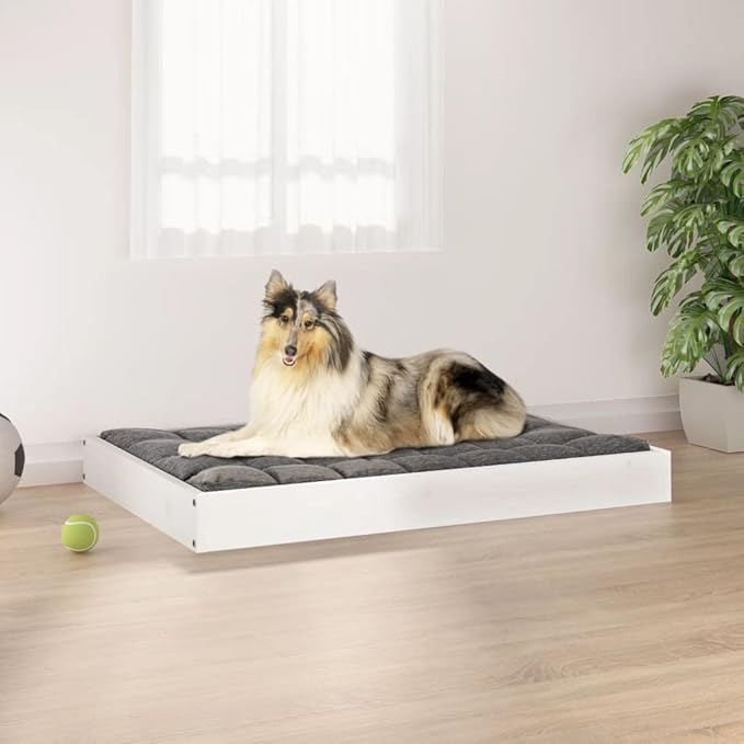 Medium Dog Bed, Modern Minimalist Solid Pine Wood Pet Bed for Indoor Use, Sturdy Raised Wooden Dog Cot, 36 x 25 Inch Rectangular Frame, Matte White