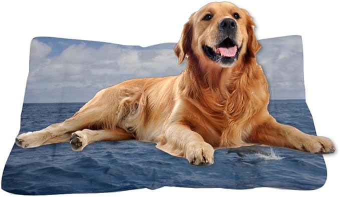 Dolphins Tall Ship Ocean Scene Pet Bed Dog Mat Dog Bed Pad for Crate Washable Non-Slip Cushions for Lining Pet Crates Beds Furniture Crate Mat Tapete para Perros Indoor Outdoor 36X24 Inch