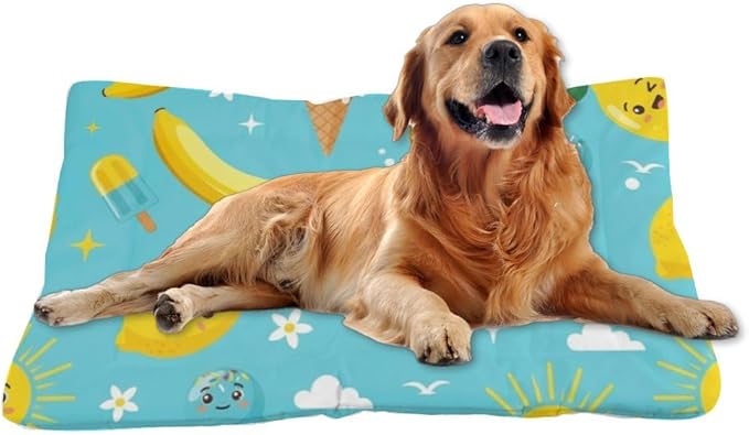 Banana Lemon Treat Turquoise Big Dog Bed Dogs Mat Pet Carrier Pad Crate Cushion Washable Non-Slip Small Dog Bed for Crate Kennel Beds for Crates Mat Cage Accessories Indoor Outdoor 36X24 Inch