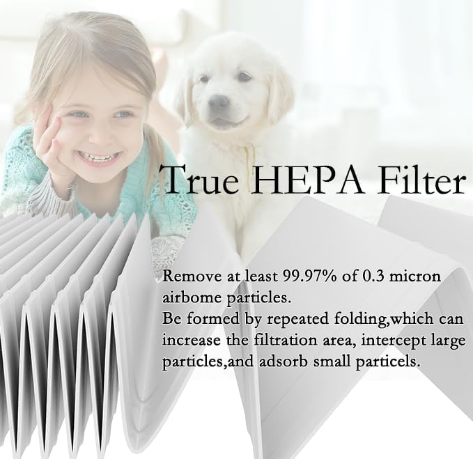 A2 True HEPA Replacement Filter, Compatible