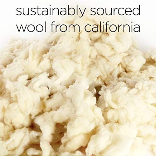 Molly Mutt Sheepy Wool-Filled Crate Pad, GOTS-Certified 100% Organic Cotton Canvas Cover with Soft 100% Natural Wool Insert, Ideal for Dog Bed or Kennel, Forever Young, 30" x 21" x 2.5"