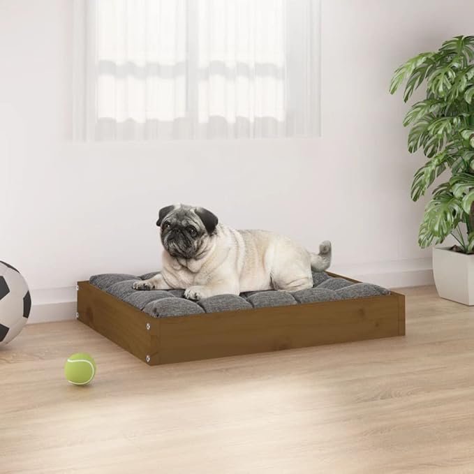Small Dog Bed Frame, Solid Pine Wood Elevated Pet Bed for Small Breeds, Durable Rectangular Indoor Puppy Rest Station, Honey Brown Matte Finish