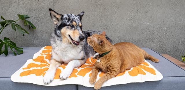 Waterproof Blanket, 29" x 34” - Seat Cover for Dogs and Pets. Ideal for Small and Medium Pet Crate Blankets, Settle mat, Diaper Changing and Playmat for Babies