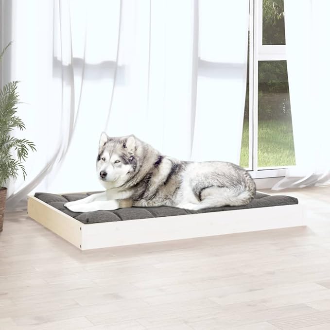Medium Elevated Dog Bed, Solid Pine Wood Pet Cot for Indoor Use, Modern Minimalist Style White Pet Furniture, Durable Raised Sleeping Platform for Medium Dogs
