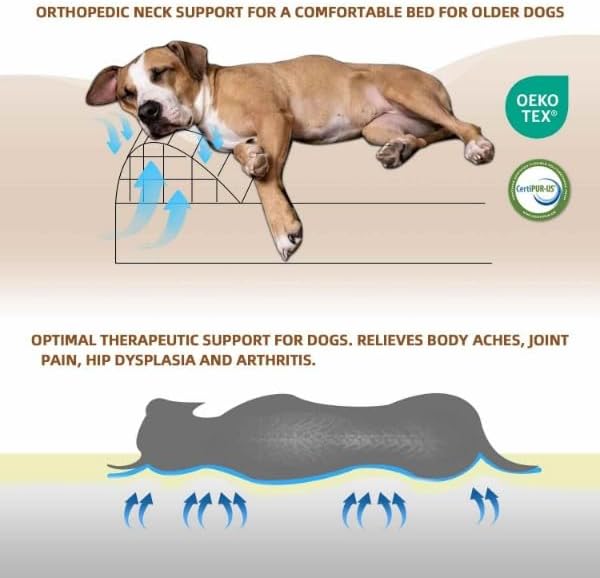 Gray Corduroy Orthopedic Dog Bed with Bolster – Memory Foam, Washable Removable Cover, Non-Slip Bottom (Small)