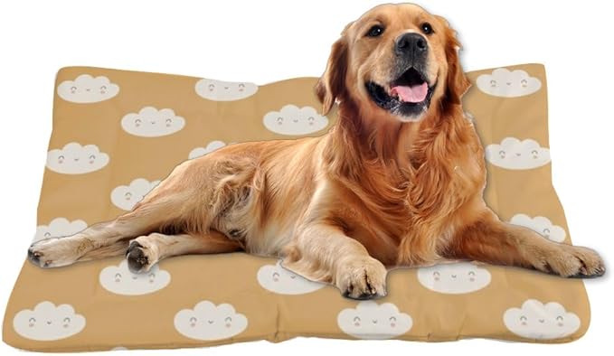 Cute Brown Clouds Easy to Wash Dog Bed Pad Mat for Dog Pad Bed Medium for Crate Washable Non-Slip Crate Small Washable Pet Mattress Cage Small Pets Indoor Outdoor 24X18 Inch