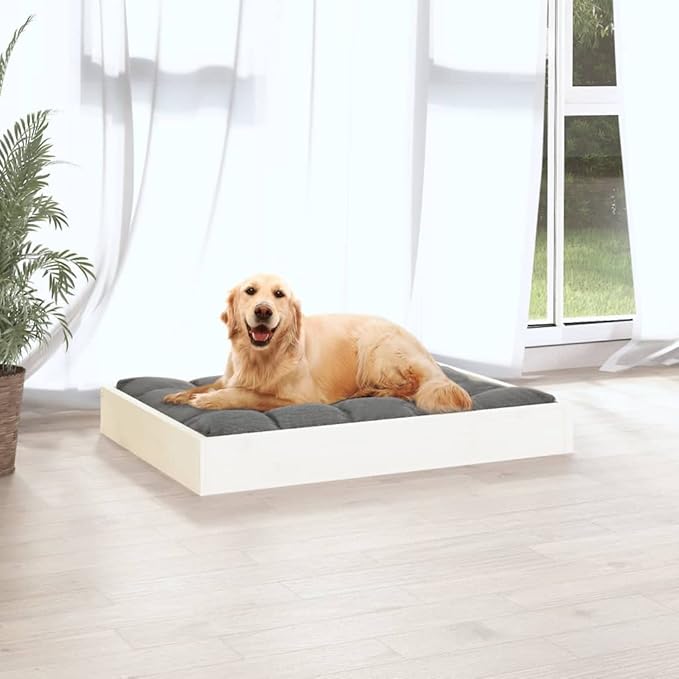 Solid Pine Wood Dog Bed for Small Dogs Indoor Use, Minimalist Design with Smooth White Finish, Durable Comfortable Pet Furniture 28.1 x 21.3 Inch