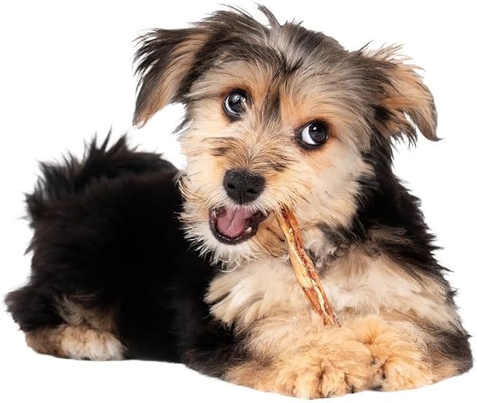Fieldcrest Farms Nothing to Hide Natural Rawhide Alternative Twist Stix for Dogs - 3 Pack (Chicken, Beef, Peanut Butter) Premium Easily Digestible Chews, Magnet