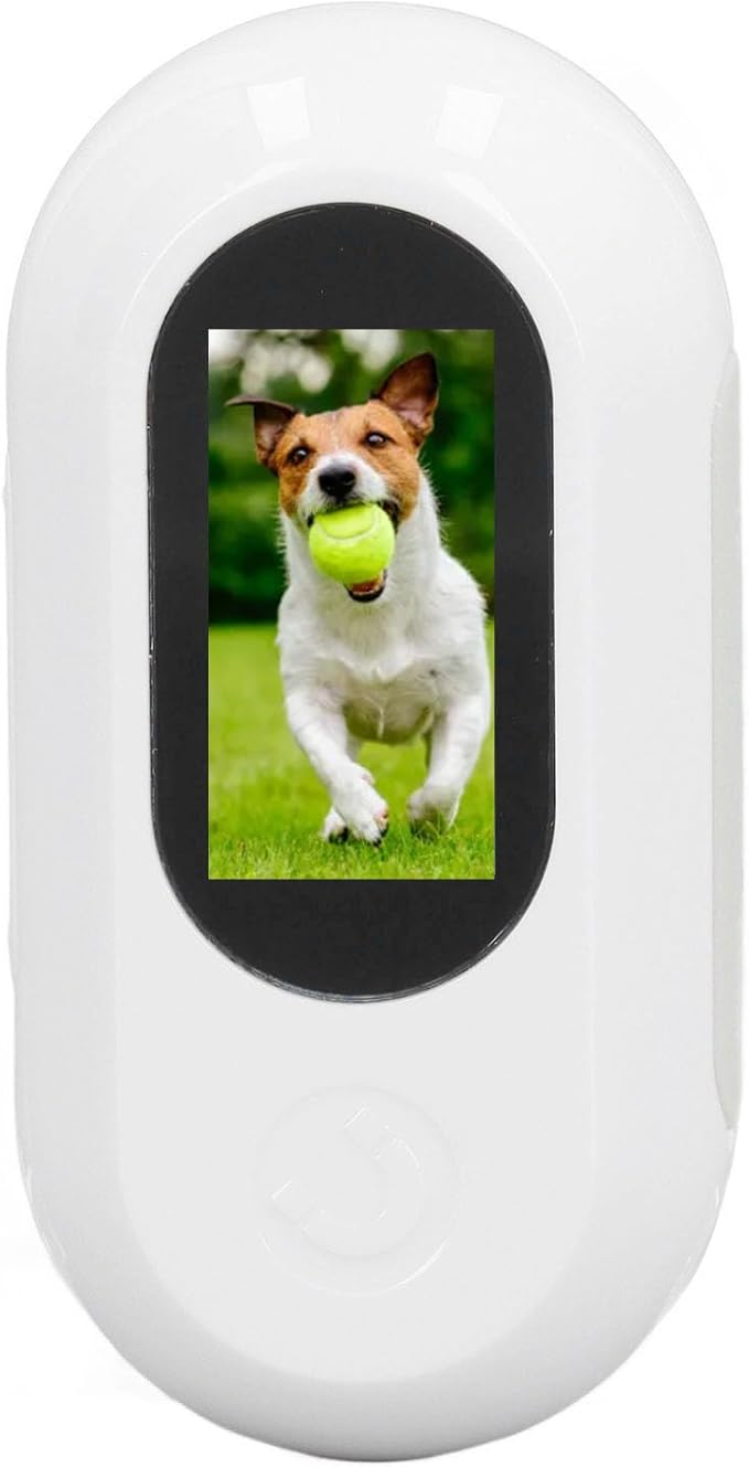 Cat Video Camera,Pet Collar Camera 120 Deg Lens OTG Connection Video Recording Adjustable Magnetic Cat Sport Camera for Outdoor 1920x1080P (White)