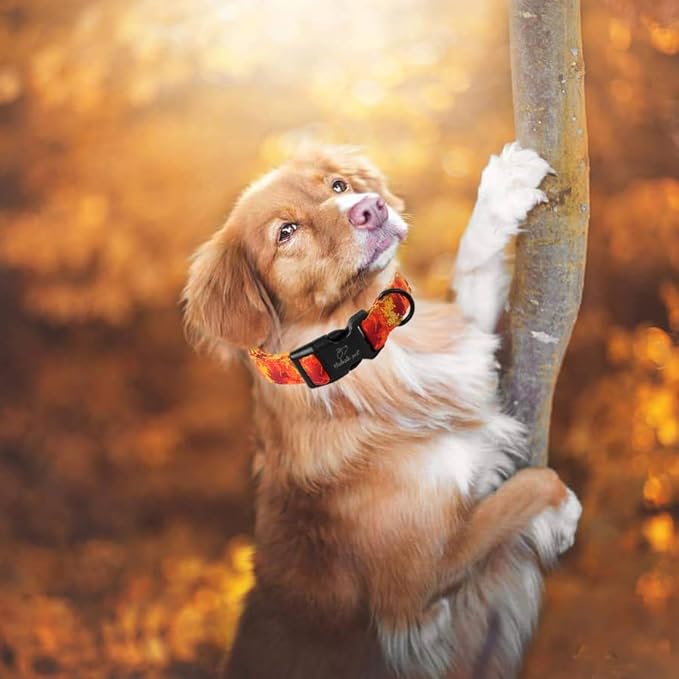 Fall Dog Collar, Gold Maple Leaves Pattern Fall Thansgiving Puppy Collar, Soft Adjustable Cotton Holiday Dog Collars for Small Medium Large Boy&Girl Dogs XS