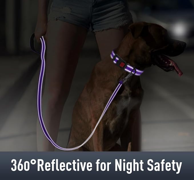 Airtag Dog Collar with AirTag Holder for Medium Dogs, Reflective, Soft Padded & Safety Locking Buckle, Nylon Pet Collars Adjustable for All Breeds, Purple,M