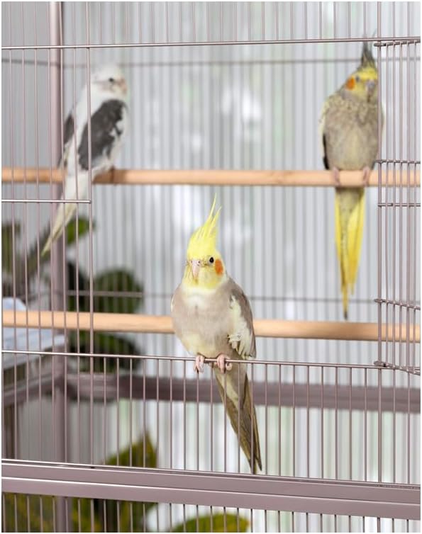 Maykoosh Contemporary Chic Iron Flight Cage with Elegant Ironwork, Spacious Interior, Durable Construction, and Ample Room for Birds to Fly, Play,