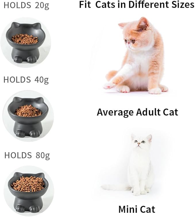 Nihow Elevated Cat/Dog Bowls Set : 5 Inch Ceramic Raised Cat Food and Water Bowl Set for Protecting Pet's Spine - Feeding & Watering Supplies for Pets- Matte Black (2PC)