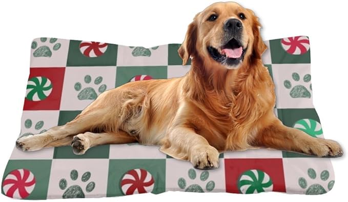 Festive Checker Design Pet Pad Waterproof Pet Bed Dog Crates Mats Cozy House Dog Bed Non- Slip Bottom Friendly Furniture Multi- Scenario Beds Gift Printed Mat 36× 24 Inch