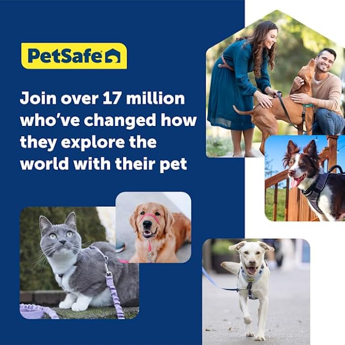 PetSafe Easy Walk Comfort No-Pull Dog Harness - Better Walk Training Harness - Full Body Padded Design - Durable Fabric - 5 Point Adjustable Fit - Everyday Leash Training - Blue - Medium/Large