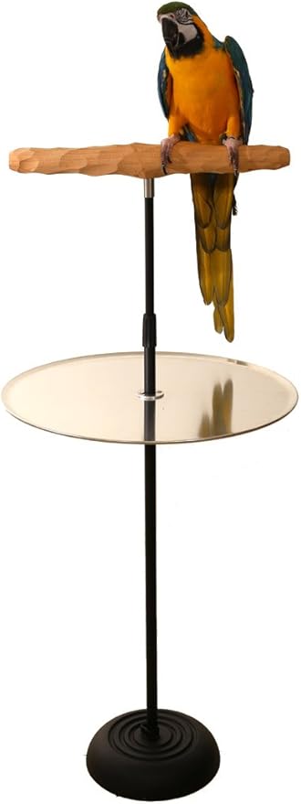 Parrot Training Perch Stand with Potty Tray (T Perch, Medium)