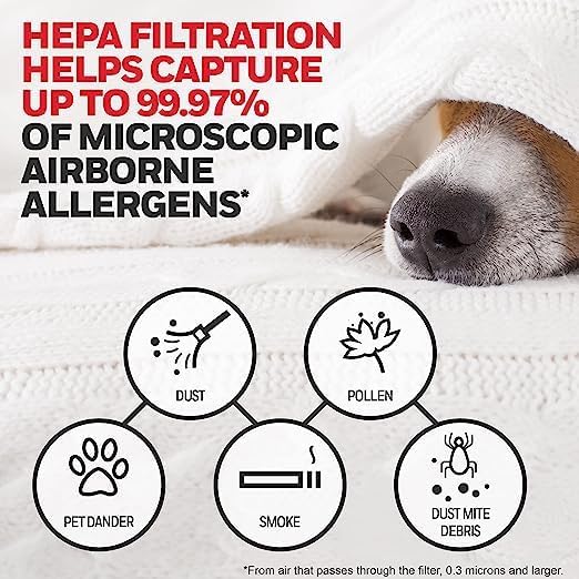 Honeywell Genuine HEPA Air Purifier Filter G, Airborne Allergen Air Filter