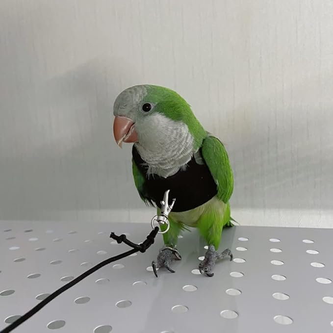 Bird Flight Harness Vest, Parrot Flight Suit with Leash for Parakeets Cockatiels Conures Budgies, Bird Flying Clothes with Rope and Handle for Outdoor Activities Training, Anti Bite (2M)