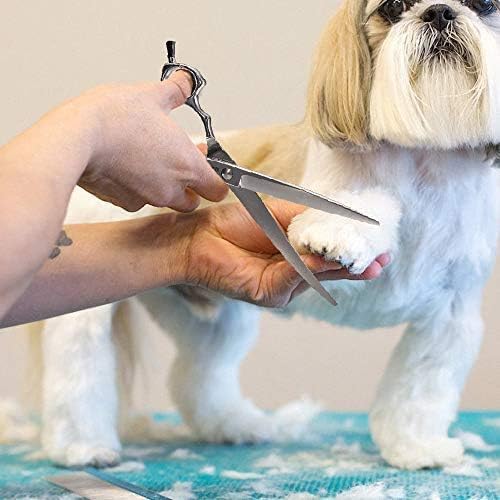 Dream Reach Dog Grooming Scissors - 6.5" Professional Downword Curved Shears for Cats Dogs