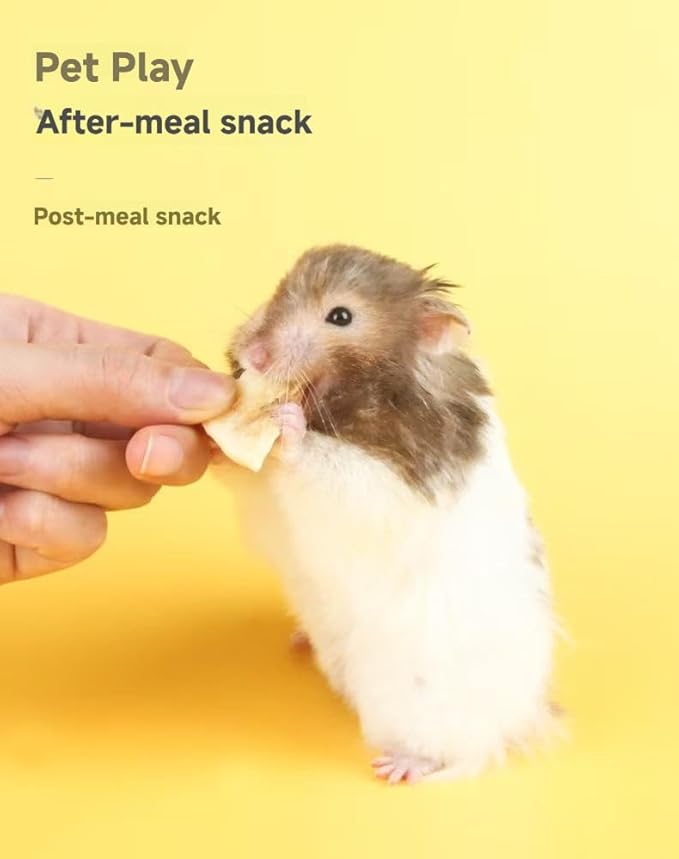 Hamster Banana Chips - Tasty, Natural & Nutritious for Small Pets