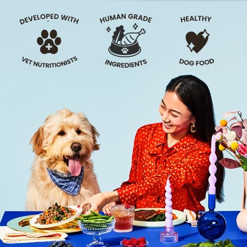 The Pets Table Human-Grade Turkey Casserole Fresh Dog Food, Dog Food Topper or Complete Meal, 6 Count of 36-oz Pouches, 13.6lbs