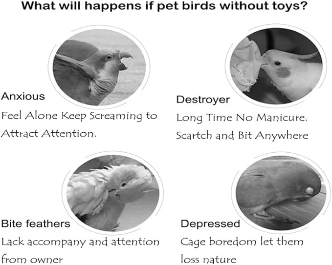 Colorful Bird Xylophone Toy Interactive Training Toy Bird Cage Bell Toy Accessories Music Musical Enrichment Bells for Conure Budgie Cockatiel African Grey Parakeet Finch Parrot Love Birds