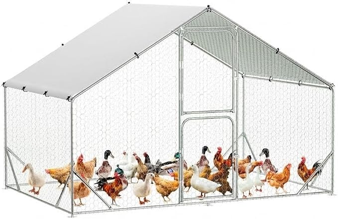 9.8X6.5x6.5FT, Large Walk in Chicken Run Pen Cage, Metal Coop Clearance