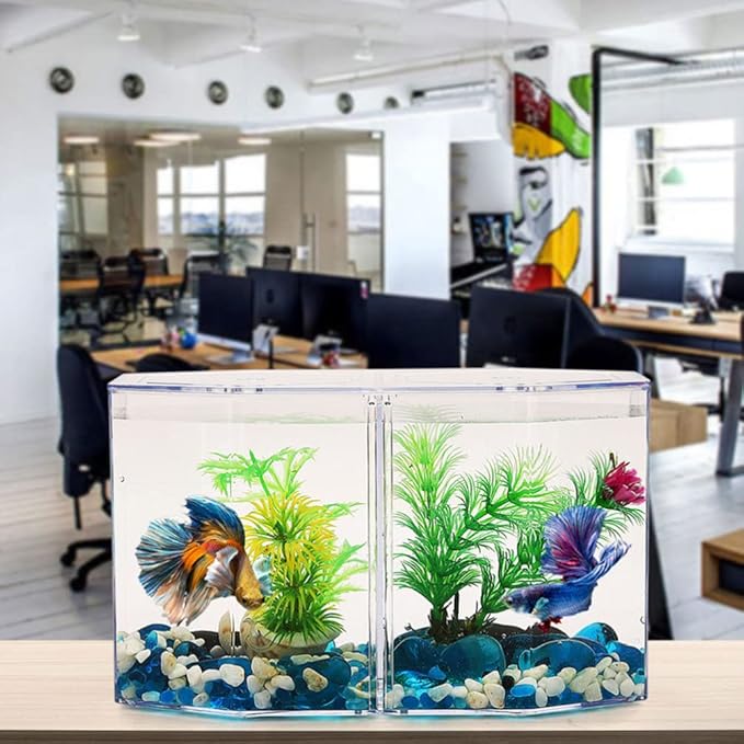 Acrylic Fish Tank Isolation Box with Two Compartments for Betta and Small Tropical Fish Clear Octagonal Breeding Tank Suitable for Home Aquarium