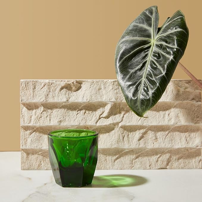 notNeutral Vero Glass