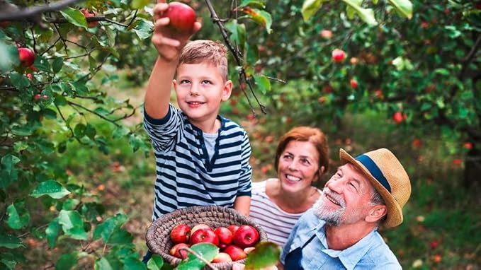 Gardenera Premium Apple Potting Soil Mix - Optimal Nutrient-Rich Blend for Thriving and Juicy Apples - 10 Quart