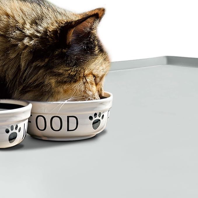Dog Food Mat,Silicone Waterproof Food Tray,Non Slip Pet Bowl Mats Placemat,1" Raised Edge,Suitable for Most Small and Medium Sized Pets,32" x 24"