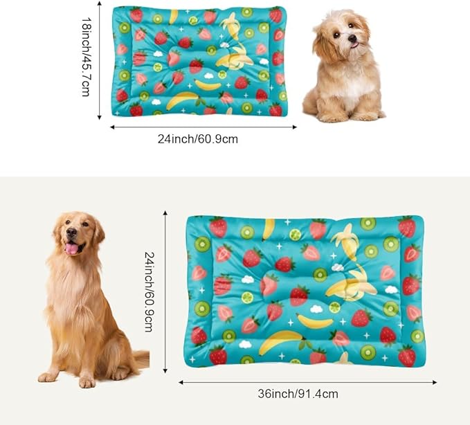 Mixed Fruit Turquoise Blue Dog Beds and Furniture Dog Crate Bed Mattress Kennel Pad Bed for Crate Washable Non-Slip Cushion for Cages Fuzzy Mats Dogs Furniture Indoor Outdoor 24X18 Inch