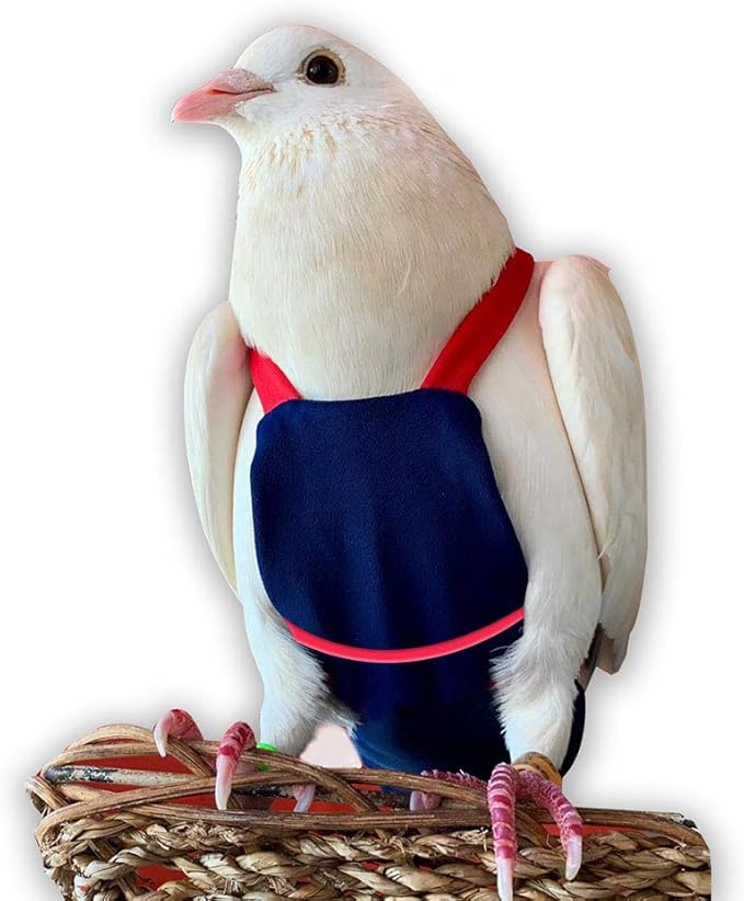 Bev's Bird Boutique Regular Flyper Adjustable Bird Diaper | Reusable, Washable Cloth | Comfort Fit for Parrot, Cockatiels, & Other Small Birds | Fashionable Avian Accessories, Navy & Red, Size 9