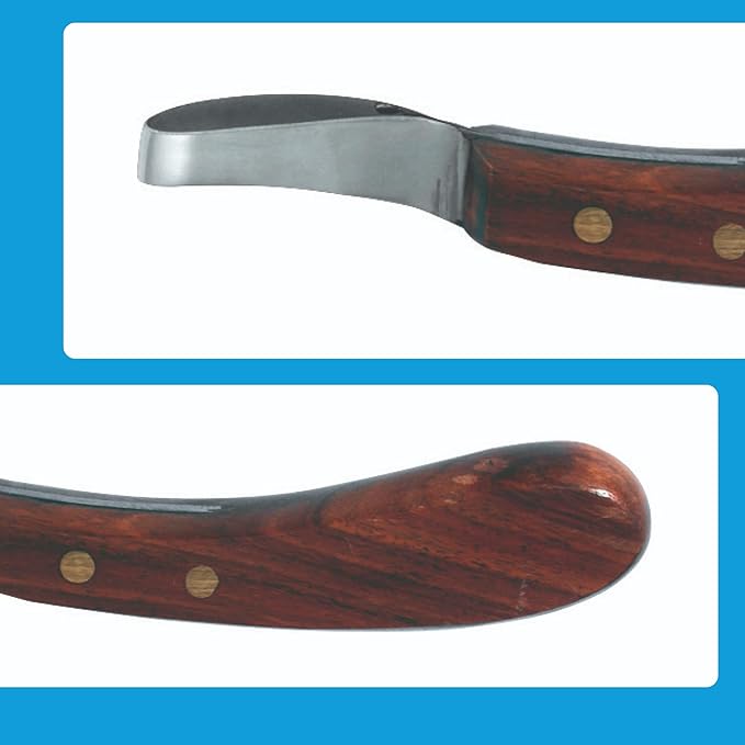7 Inch Swiss Hoof Knife Double Edged – Stainless Steel Curved Blade Farrier Tool with Round Wooden Grip, Multipurpose Hoof Trimming Knife for Livestock. (Oval Hoof Knife)
