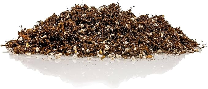 Gardenera Fern + Perlite Soil Mix for Repotting and Planting Succulents and Cactuses - 1 Quart Bag